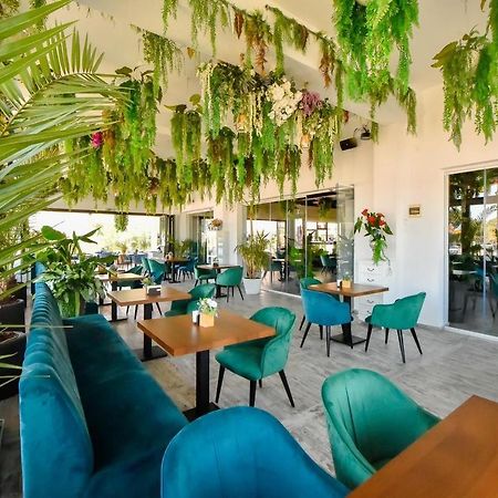 Lux Tropical Garden Sea View Lägenhet Mamaia Exteriör bild